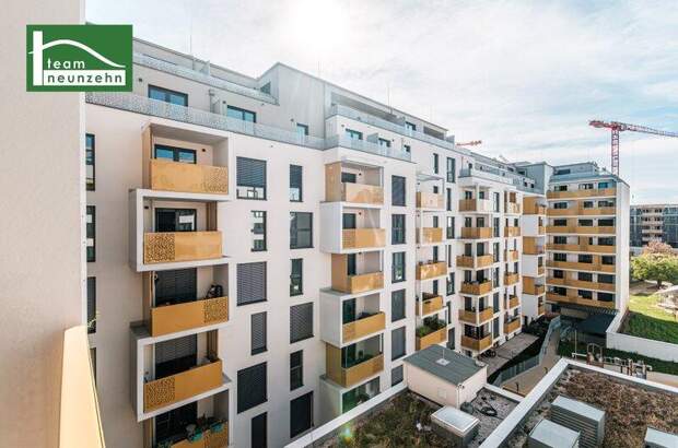 Terrassenwohnung kaufen in 1220 Wien (Bild 2)