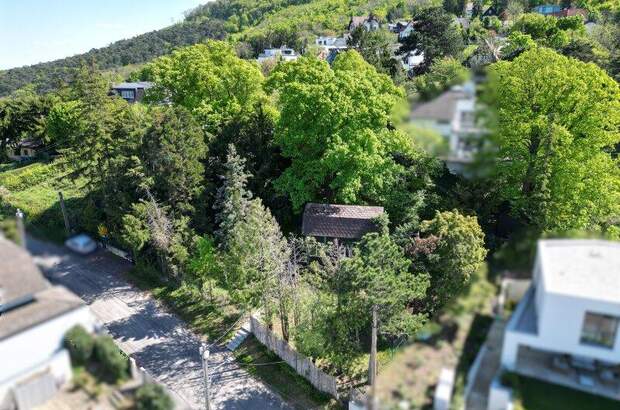 Grundstück kaufen in 3400 Klosterneuburg (Bild 1)