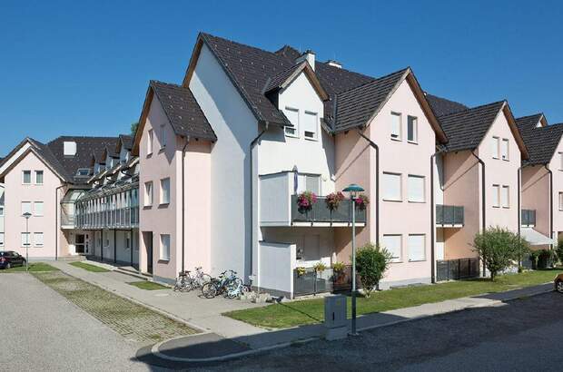 Wohnung mieten in 3133 Traismauer (Bild 5)