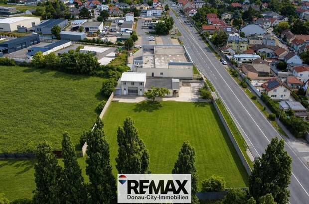 Produktion kaufen in 2353 Guntramsdorf (Bild 2)