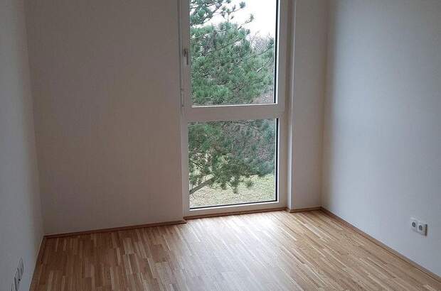 Terrassenwohnung mieten in 1220 Wien (Bild 4)