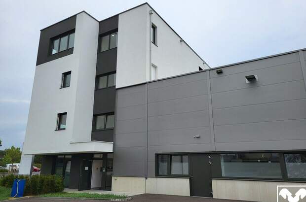 Gewerbeobjekt mieten in 4061 Pasching (Bild 1)