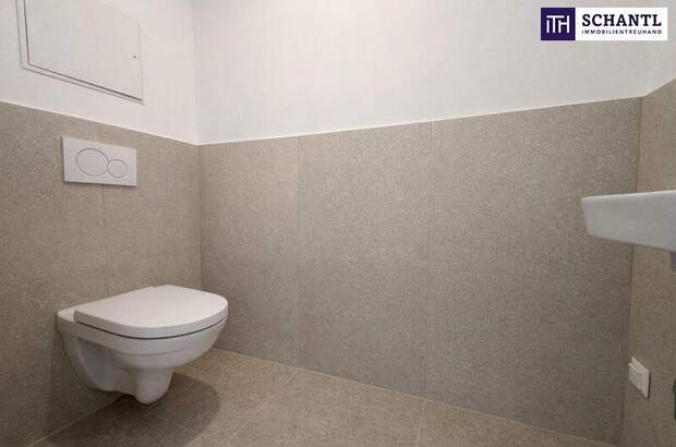 Terrassenwohnung kaufen in 2514 Traiskirchen (Bild 4)