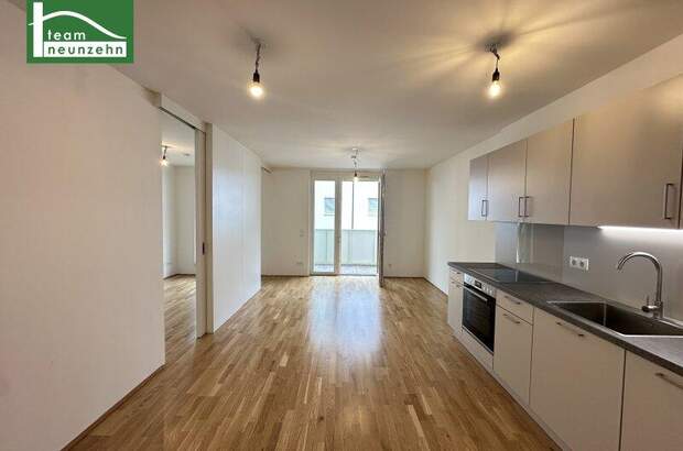 Terrassenwohnung mieten in 1220 Wien (Bild 1)