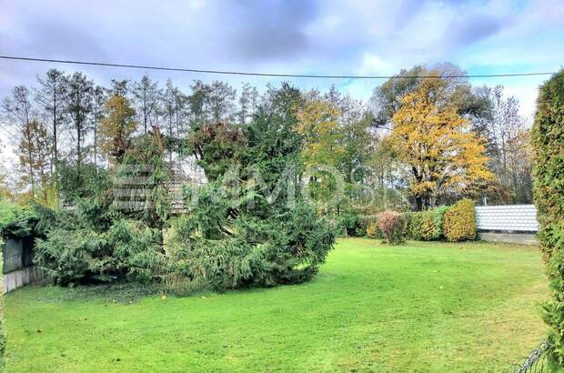 Grundstück kaufen in 4073 Wilhering (Bild 3)