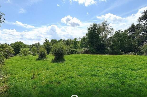 Haus mit Garten kaufen in 4675 Weibern (Bild 5)