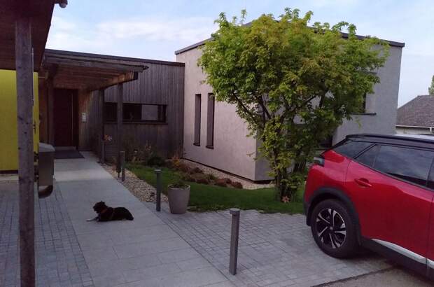 Haus mit Garten kaufen in 2125 Streifing (Bild 3)