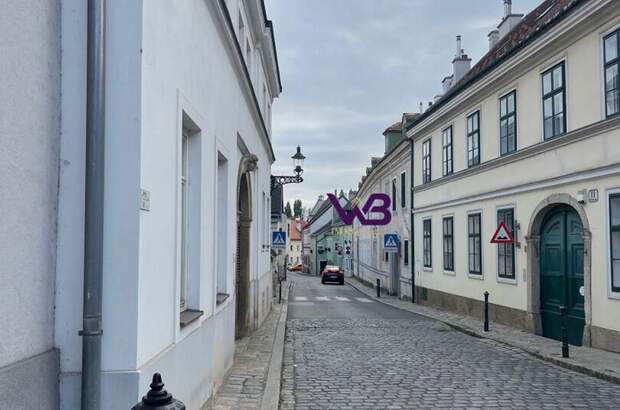 Anlageobjekt kaufen in 1190 Wien (Bild 1)