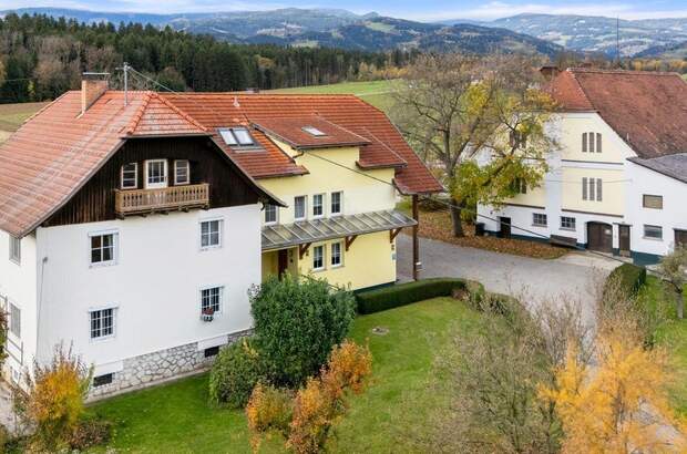 Gewerbeobjekt kaufen in 9431 Reinfelsdorf (Bild 2)