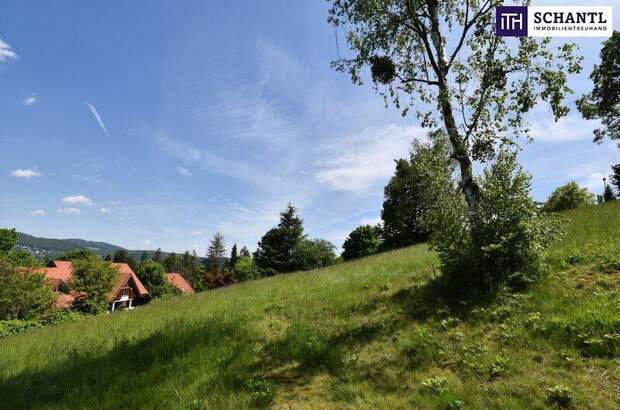 Grundstück kaufen in 8046 Graz (Bild 3)