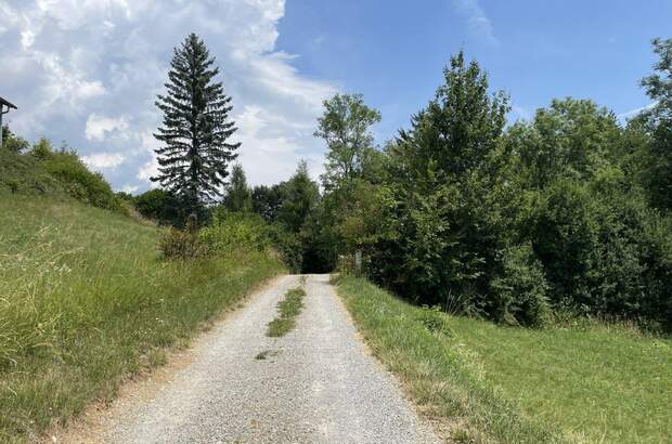 Grundstück kaufen in 8045 Weinitzen (Bild 4)