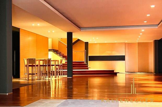 Gewerbeobjekt mieten in 1190 Wien (Bild 2)