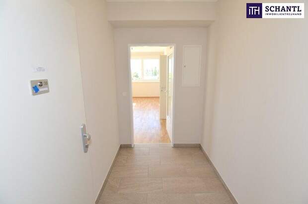 Terrassenwohnung mieten in 2320 Schwechat (Bild 5)