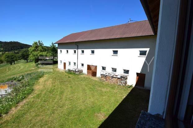 Mehrfamilienhaus kaufen in 4240 Waldburg (Bild 1)