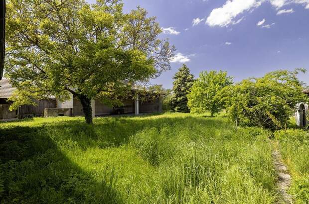 Gewerbeobjekt kaufen in 2431 Enzersdorf (Bild 1)