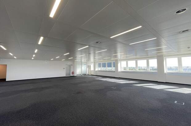 Gewerbeobjekt mieten in 2351 Wiener Neudorf (Bild 4)