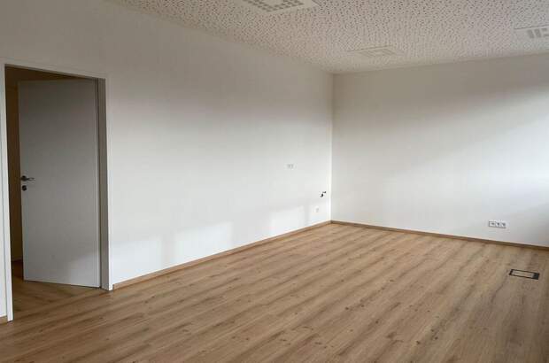 Gewerbeobjekt mieten in 4284 Tragwein (Bild 2)