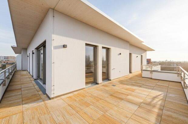 Terrassenwohnung kaufen in 2700 Wr. Neustadt (Bild 4)