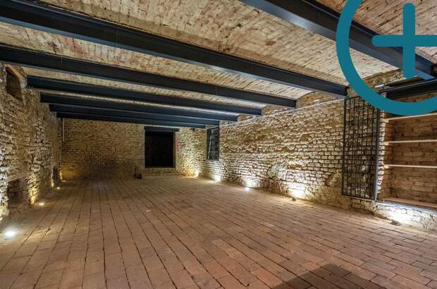 Gewerbeobjekt mieten in 2340 Mödling (Bild 1)