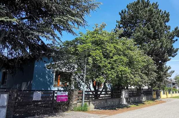 Einfamilienhaus kaufen in 2442 Unterwaltersdorf (Bild 1)