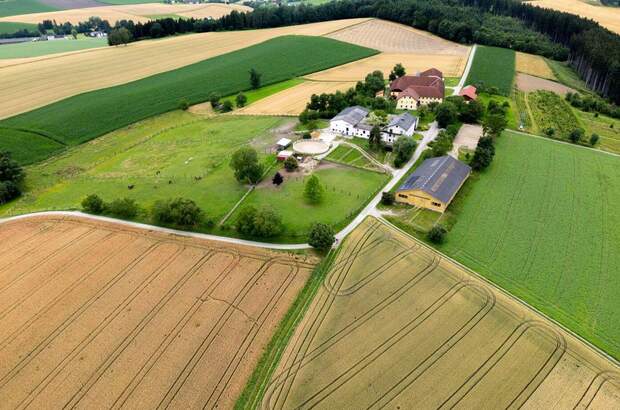 Gewerbeobjekt kaufen in 4600 Gunskirchen (Bild 1)