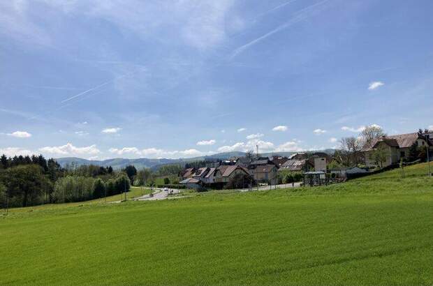 Terrassenwohnung mieten in 3324 Euratsfeld (Bild 3)