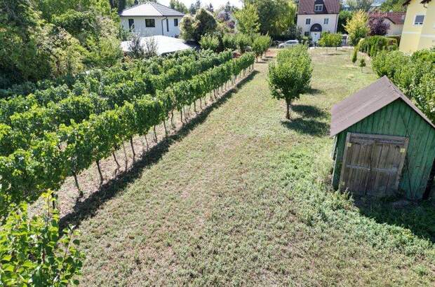 Grundstück kaufen in 2103 Langenzersdorf (Bild 3)