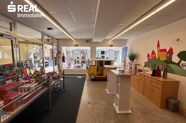 Wohnanlage kaufen in 3340 Waidhofen (Bild 3)