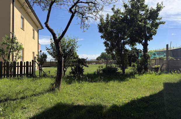 Wohnung mit Balkon kaufen in 4483 Hargelsberg (Bild 5)