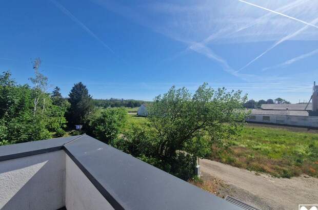 Mietwohnung in 3462 Absdorf (Bild 3)