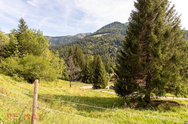 Grundstück kaufen in 6850 Dornbirn (Bild 1)