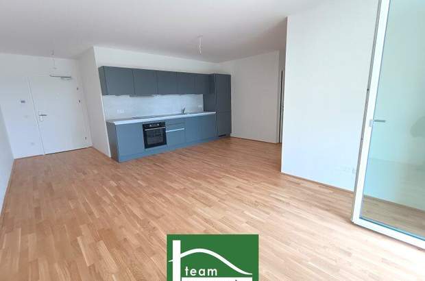 Terrassenwohnung mieten in 3100 St. Pölten (Bild 1)