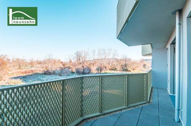 Terrassenwohnung kaufen in 1210 Wien (Bild 5)