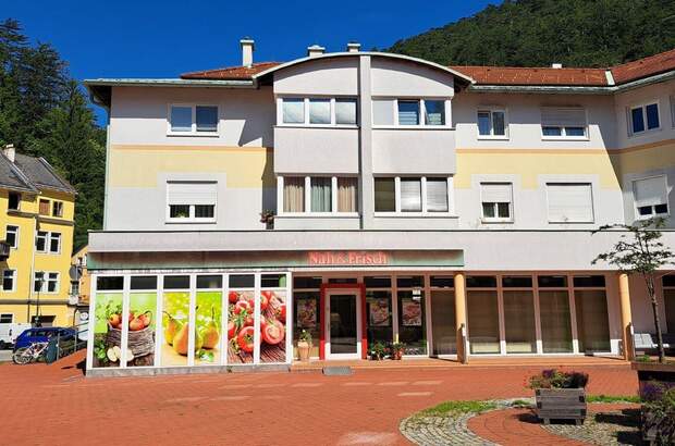 Gewerbeobjekt mieten in 2770 Gutenstein (Bild 4)