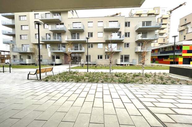 Gewerbeobjekt mieten in 1220 Wien (Bild 5)
