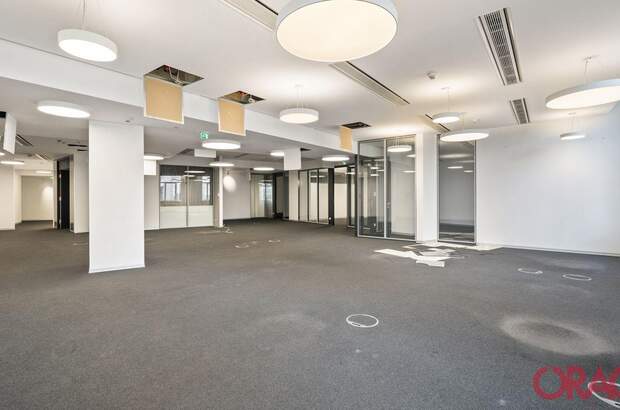 Gewerbeobjekt mieten in 1010 Wien (Bild 4)