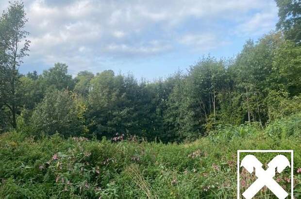 Haus kaufen in 2870 Maierhöfen (Bild 3)