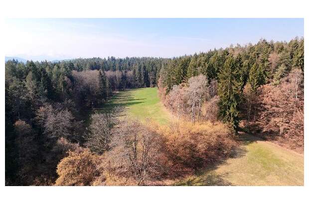 Jagd- und Forstwirtschaft kaufen in 9062 Moosburg (Bild 1)