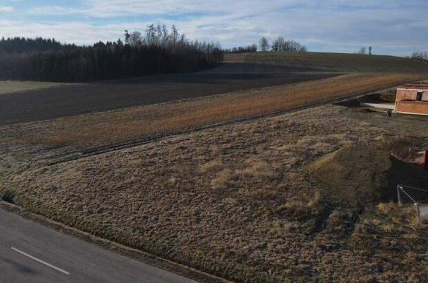 Terrassenwohnung kaufen in 4692 Niederthalheim (Bild 2)