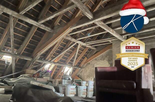 Wohnanlage kaufen in 2700 Wr. Neustadt (Bild 1)