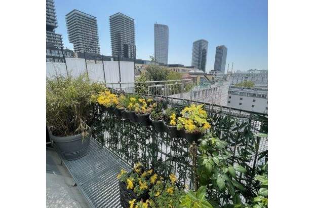 Terrassenwohnung kaufen in 1030 Wien (Bild 4)