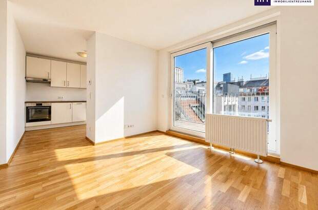 Terrassenwohnung kaufen in 1040 Wien (Bild 2)