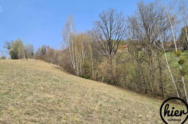 Grundstück kaufen in 8524 Deutschlandsberg (Bild 5)