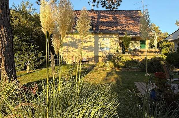 Haus mit Garten mieten in 1190 Wien (Bild 5)