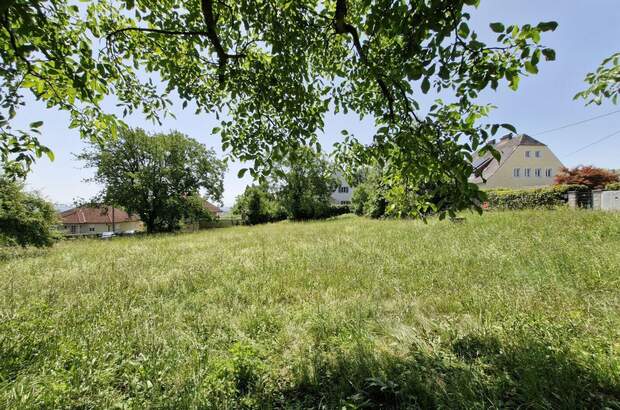 Grundstück kaufen in 4060 Leonding (Bild 3)