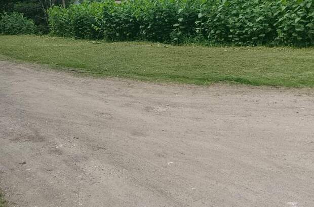 Grundstück kaufen in 9601 Hohenthurn (Bild 5)