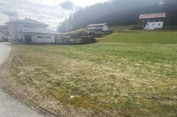 Haus kaufen in 4870 Pfaffing (Bild 3)