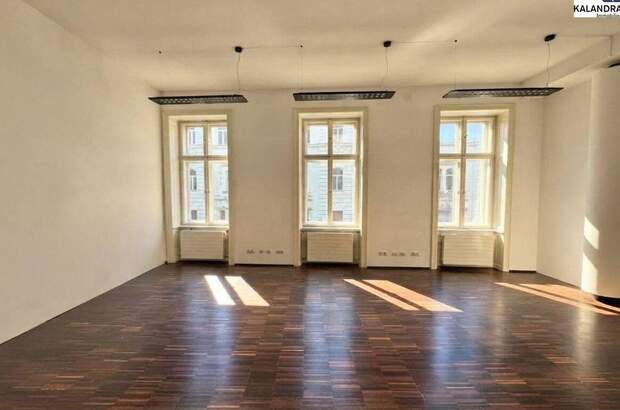 Gewerbeobjekt mieten in 1010 Wien (Bild 2)