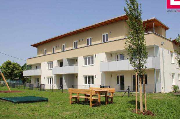 Wohnung mieten in 4600 Schleißheim