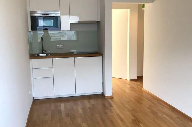 Wohnung mieten in 1190 Wien (Bild 1)